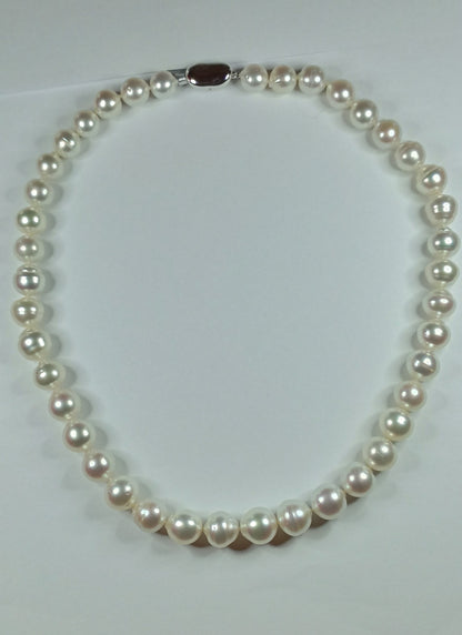 South Sea Cultured Pearl Sterling Silver Necklace (9 x 11.5 mm)